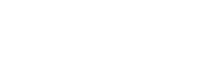 dustreta white logo